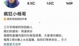 小杨哥最新爆料,揭秘娱乐圈最新热点事件