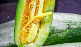 网红在线吃瓜有什么意义,娱乐消费背后的社会现象解析