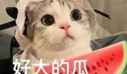 网红在线吃瓜有什么意义,娱乐消费背后的社会现象解析