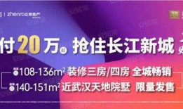 武汉热点新闻爆料事件,揭秘XX事件背后的真相与影响