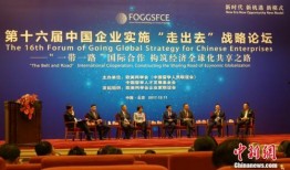 东太湖论坛新闻爆料黎里,聚焦黎里发展新动态