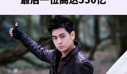 爆料神仙哥哥视频大全集,揭秘网络红人魅力瞬间