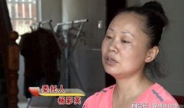 杨老二前妻爆料视频,揭秘婚姻内幕与情感纠葛