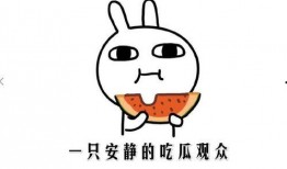 抖音免费吃瓜是啥,揭秘抖音“免费吃瓜”背后的秘密与魅力