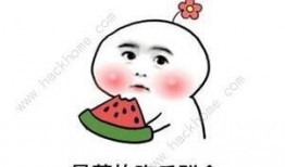 抖音免费吃瓜是啥,揭秘抖音“免费吃瓜”背后的秘密与魅力