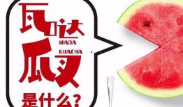 抖音免费吃瓜是啥,揭秘抖音“免费吃瓜”背后的秘密与魅力