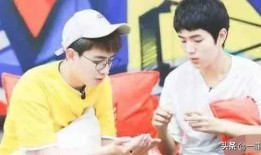 新瓜最新爆料娱乐圈小说,新瓜爆料，揭秘明星背后的秘密