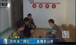 江西二套在线观看,畅享精彩节目，尽在指尖