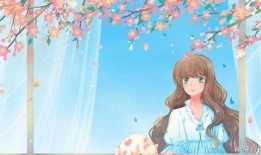 二姐夫为房爆料视频播放,揭秘房产背后的惊人真相