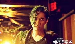 金城武前妻爆料视频,揭秘明星婚姻背后的真相