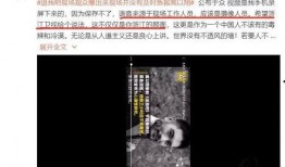天涯爆料吴启楠是谁啊视频,吴启楠是谁？视频内容深度解析