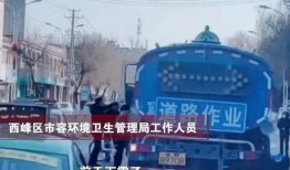 庆阳网友爆料视频,揭秘当地神秘事件真相