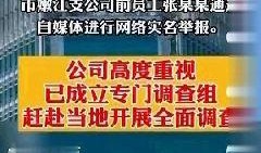 张乃丹爆料视频,事件背后惊人真相