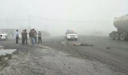 杞县柿园车祸最新爆料新闻,悲剧现场细节披露，伤亡情况引关注