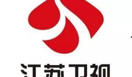 江苏电视台新闻爆料电话,揭露社会热点事件背后的真相