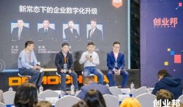 真面目阿飞技能爆料视频,全新爆料视频深度解析