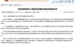 国外新闻网站爆料,国外新闻网站揭露惊人内幕