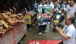 嘉善宠物店爆料事件最新,揭露行业黑幕，宠物权益引关注