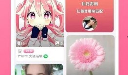 陨星爆料最新视频下载,神秘事件背后的惊人真相