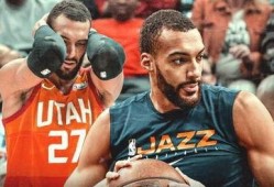 戈贝尔爆料最新消息,揭秘篮球界惊人内幕！”