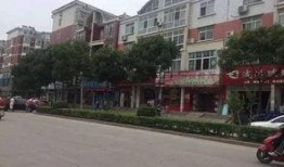 新县网友爆料事件最新,揭秘当地最新热点事件内幕