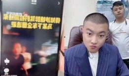 网红爆料酒驾视频播放,酒精与网络的双重诱惑