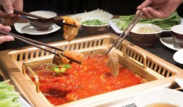 知晓美食爆料事件视频,视频内容深度解析