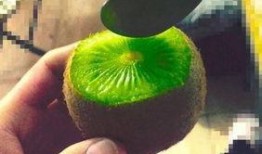 抖音网红吃瓜在哪个平台看,抖音网红吃瓜，独家平台观看指南