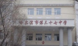 哈尔滨中学爆料视频最新,揭秘校园内幕事件