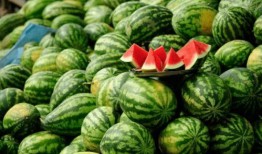 网红吃瓜爆料入口是什么,揭秘娱乐圈幕后真相