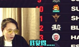 风哥爆料假赛是真的吗视频,假赛真相揭秘，视频证据揭示内幕