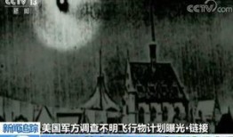 外星人官方爆料视频大全,揭秘神秘宇宙来客的神秘面纱