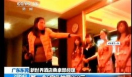 东莞记者爆料新闻视频,新闻视频揭示惊人真相